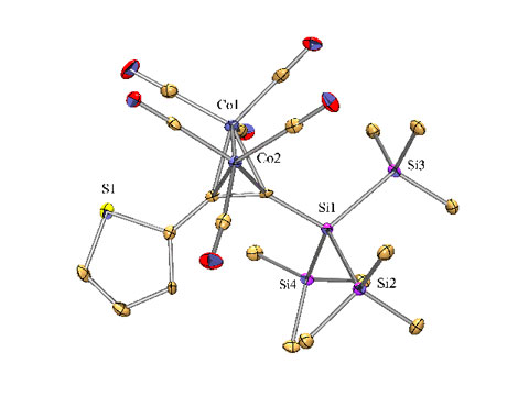 Si-Si Bond Activation 