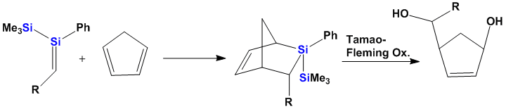 Polysilanes in Organic Synthesis