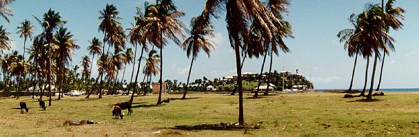 Landschaft auf Antigua
