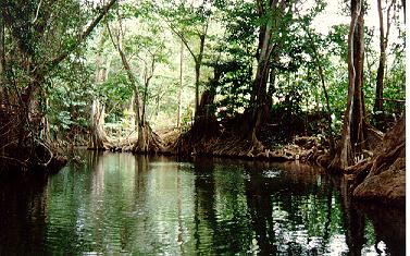 Indian River
