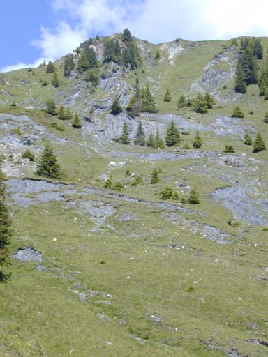 Blaubach2001A_30