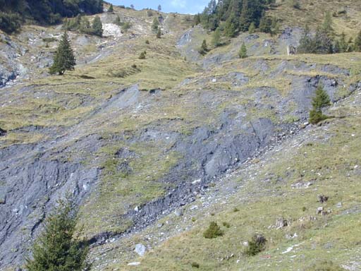 Blaubach2005_14