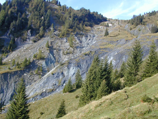 Blaubach2006_17