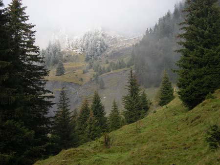 Blaubach2008_10