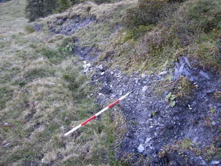Blaubach2008_30