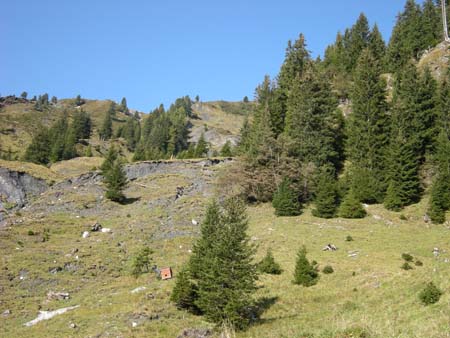Blaubach2008_45