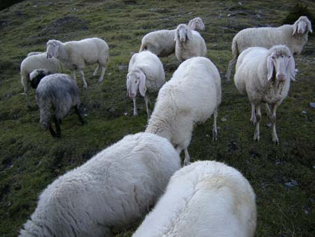 Blaubach2008_53