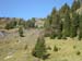 Blaubach2008_45