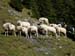 Blaubach2008_51