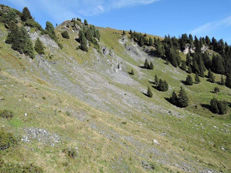Blaubach2016_10