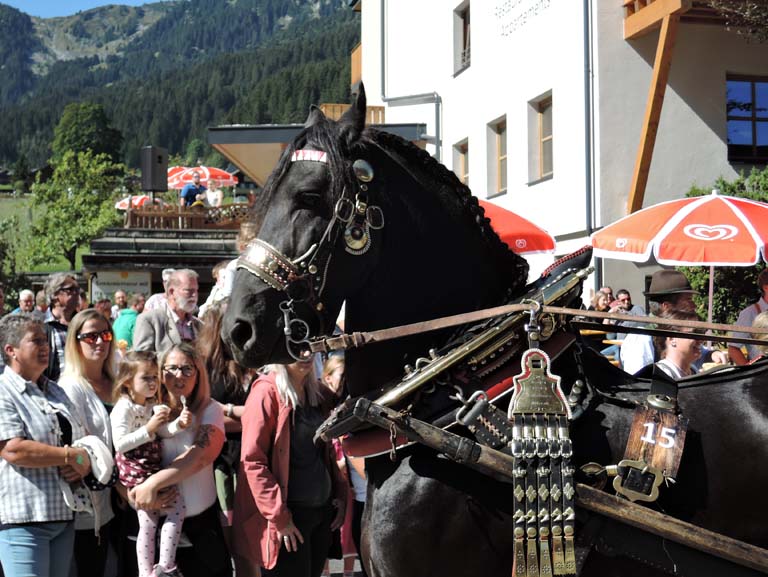 Blaubach2019_21