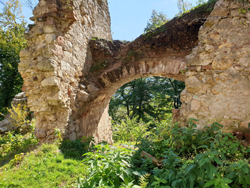 Burgruine Neuwildon