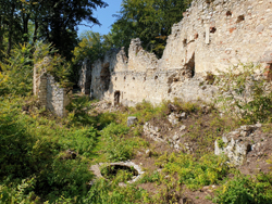 Burgruine Neuwildon