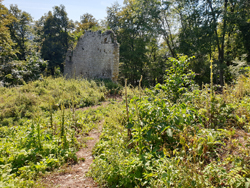 Burgruine Neuwildon