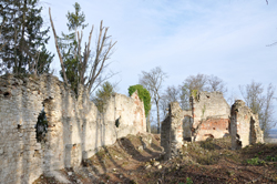 Burgruine Neuwildon