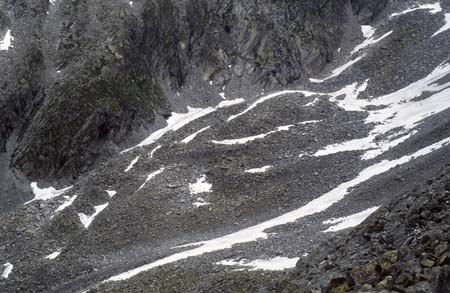 Doesen1995_033