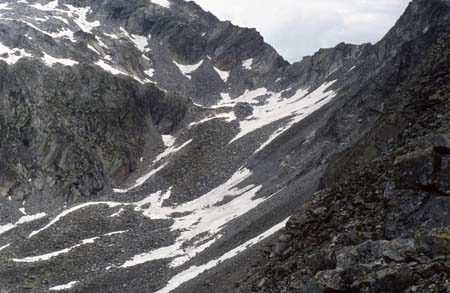 Doesen1995_034