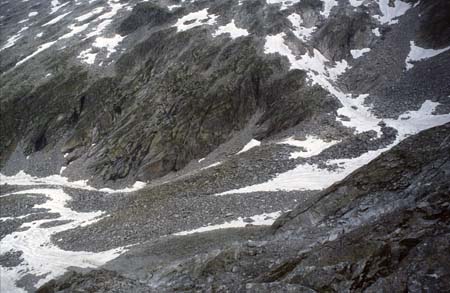 Doesen1995_038