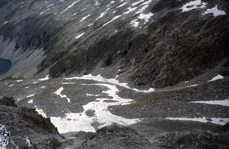 Doesen1995_039