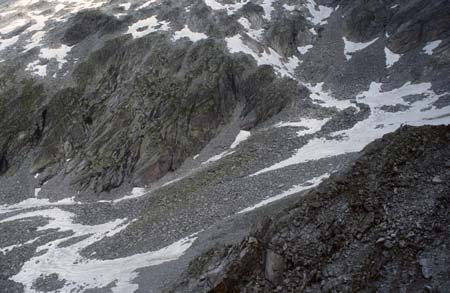 Doesen1995_043