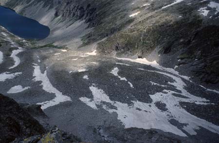Doesen1995_044