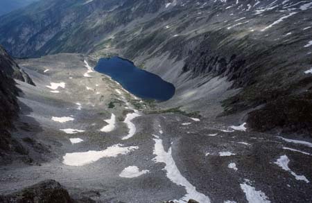 Doesen1995_048