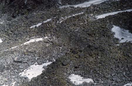 Doesen1995_051