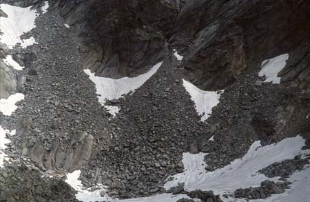 Doesen1995_053