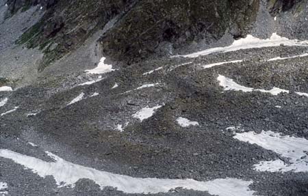 Doesen1995_055