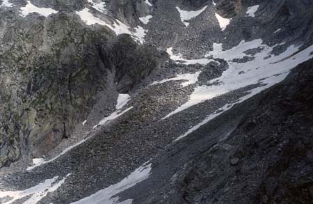 Doesen1995_057