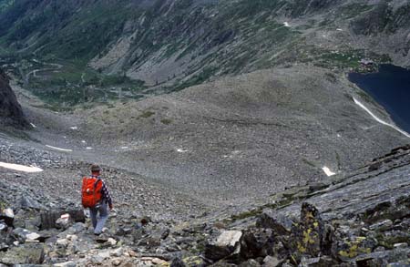 Doesen1995_061