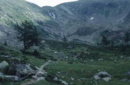 Doesen1995_067
