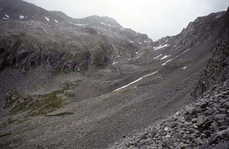 Doesen1995_070