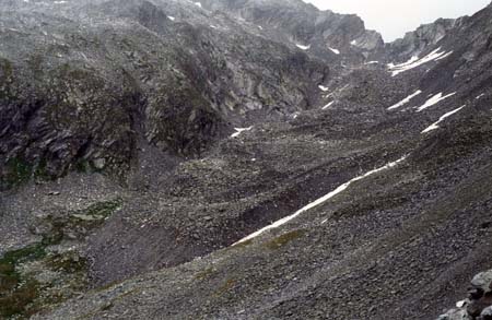 Doesen1995_071