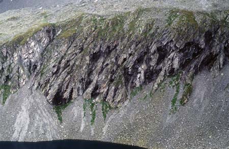 Doesen1995_074