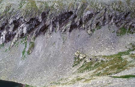 Doesen1995_075