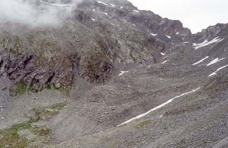 Doesen1995_076