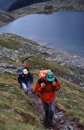 Doesen1995_083