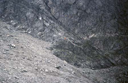 Doesen1995_089