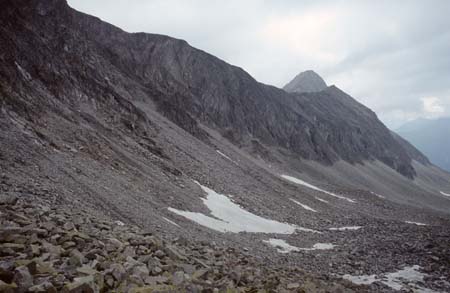 Doesen1995_095