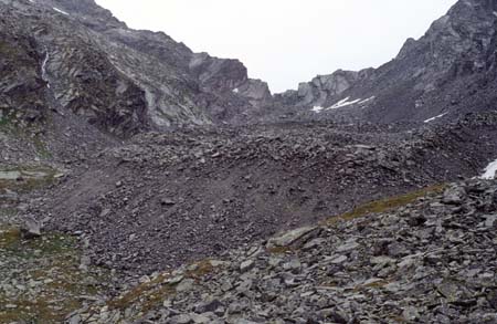 Doesen1995_103