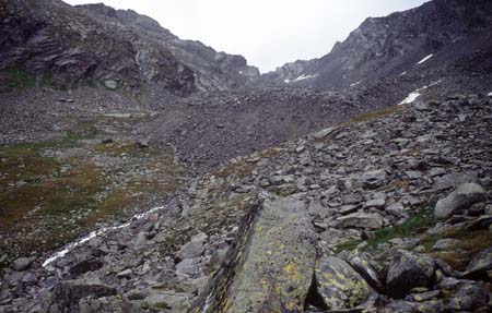 Doesen1995_105