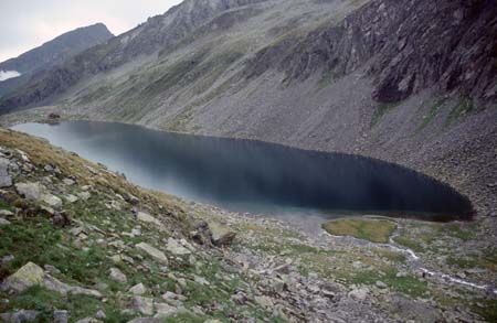 Doesen1995_106