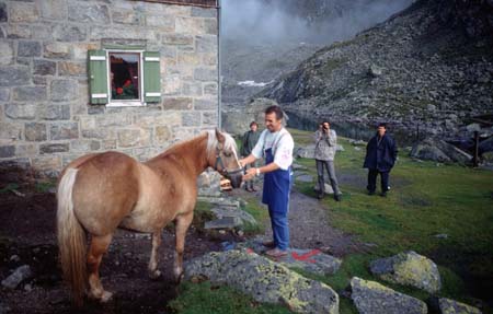 Doesen1995_108