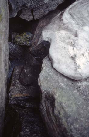 Doesen1995_109