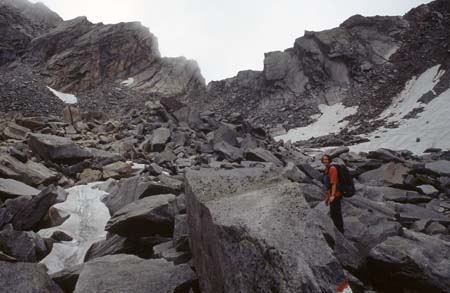 Doesen1995_115
