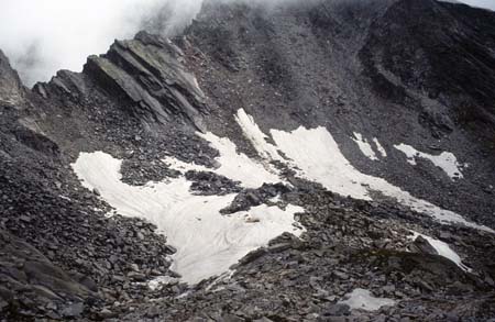 Doesen1995_117