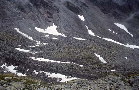 Doesen1995_119
