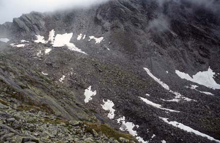 Doesen1995_120