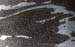 Doesen1995_052